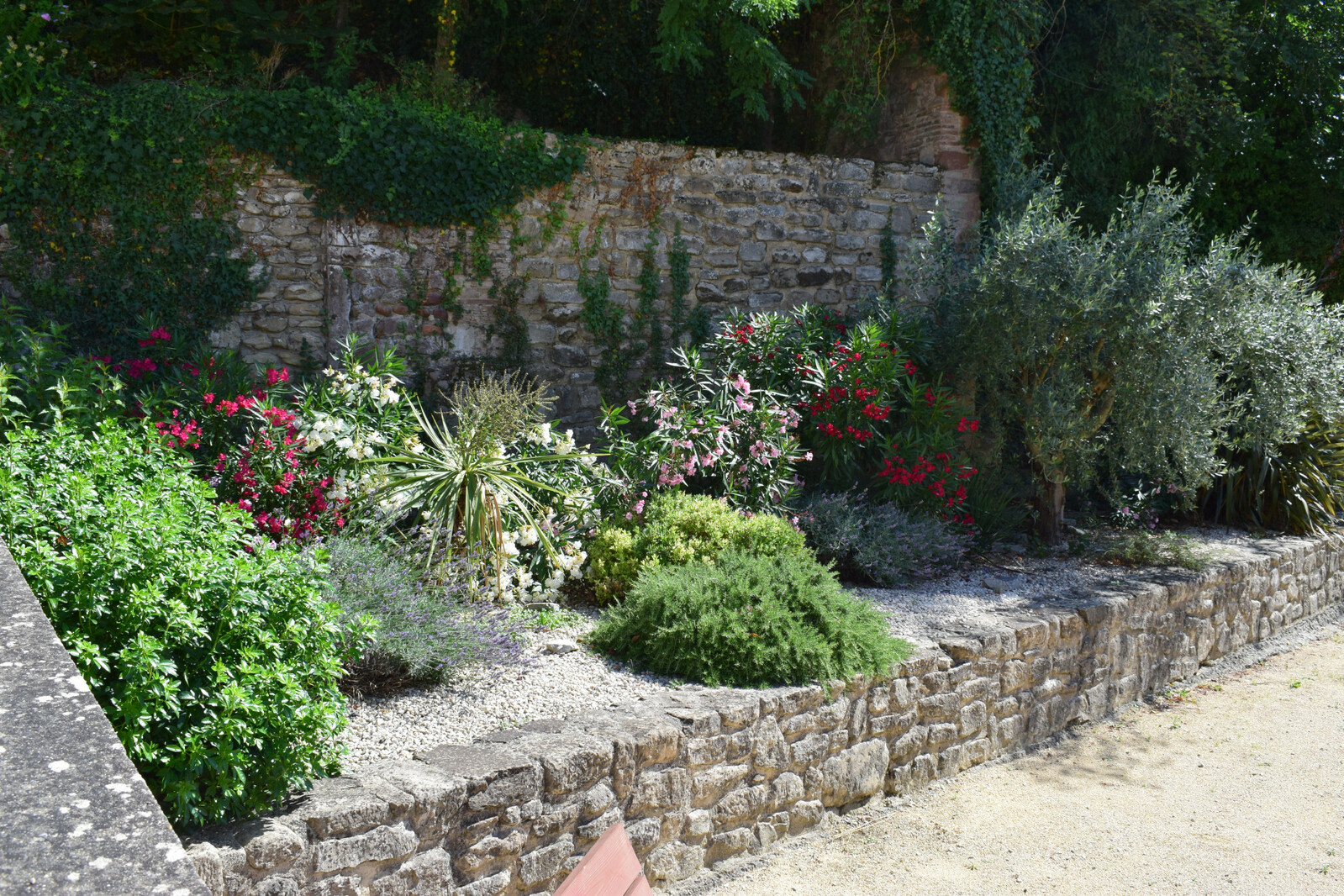 Description de l'image