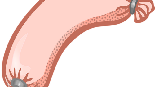 Matinée saucisse ASC