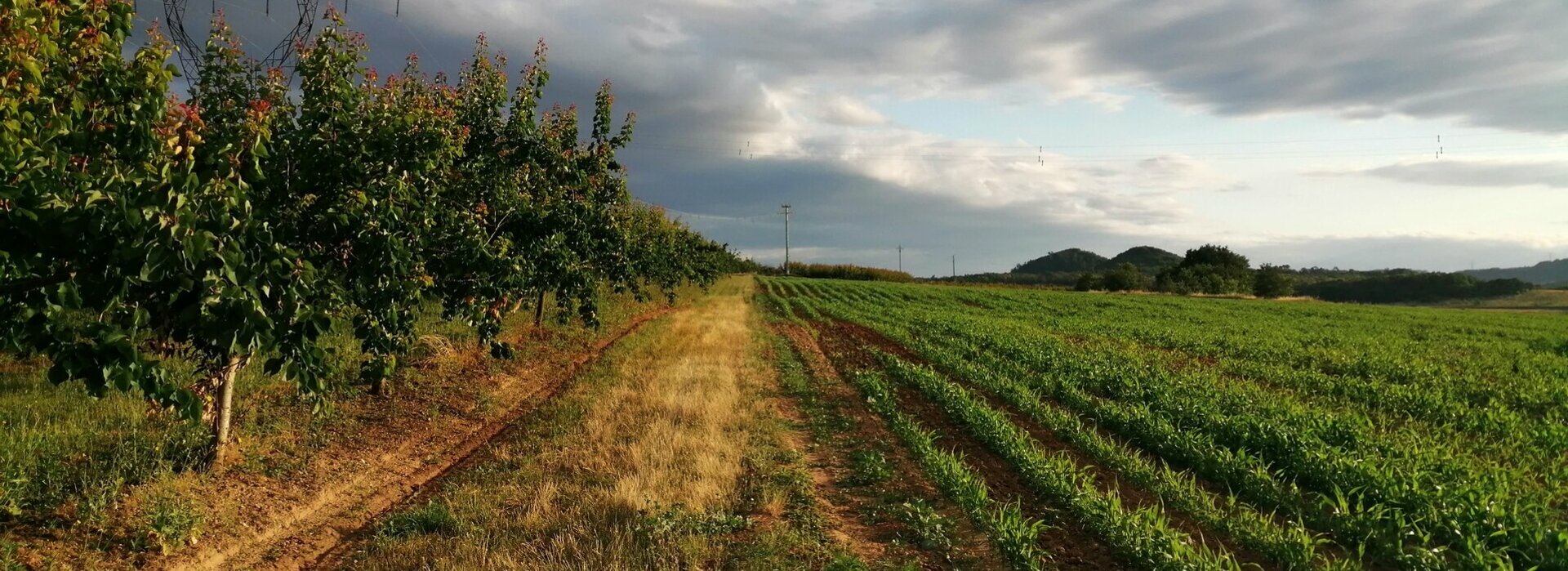 Bienvenue à Chantemerle les Blés dans le 26 au cœur de la Drôme des Collines